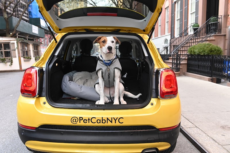 Imagen de Pet Cab NYC